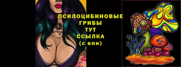 крисы Лихославль