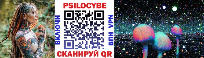Галлюциногенные грибы Cubensis Плёс