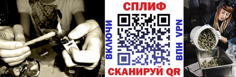 Конопля AK-47  Купить  Плёс 